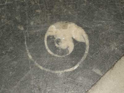 fossil.jpg